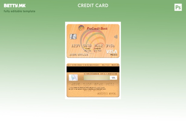 Модерен стил Молдавија ProCredit Bank Visa Electron шаблон